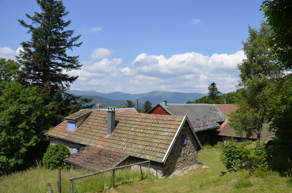 Malerisch liegt die Ferme Lengenbach von Johannes Mann am Kahlen Wasen.