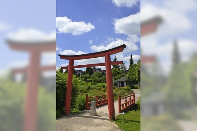 Sanierung im Japanischen Garten geht weiter - und kosten mehr als 50.000 Euro