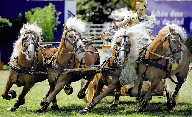 Links rum: Auch in diesem Jahr wird es...sant bei  der Eurocheval Pferdemesse.   | Foto: Messe