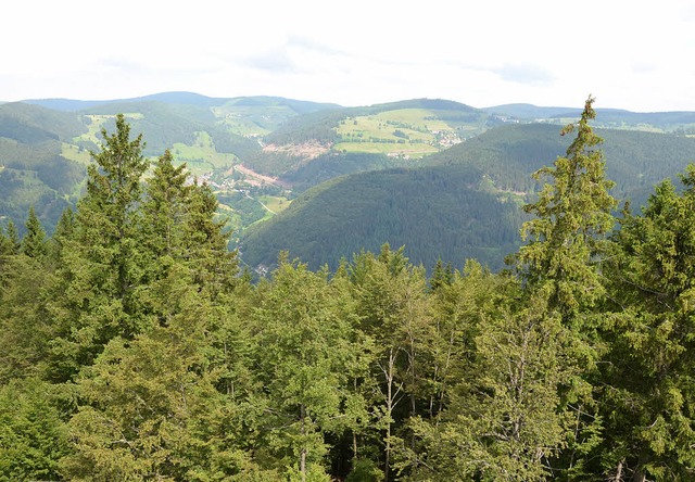 Weitblick inklusive: Solche Aussichten...derung von Todtnau nach Herrenschwand.  | Foto: Anita Fertl