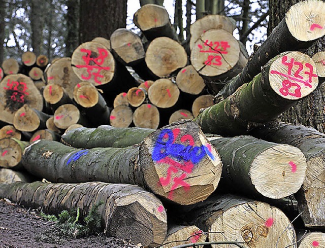 Biosphrengebiet-Skeptiker frchten kleinere Holzernten.   | Foto: kunz