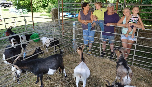 Ein Stall voller Ziegen, Ponys, Enten,...fen nun auf ein Ende der Pechstrhne.   | Foto: Marco Schopferer