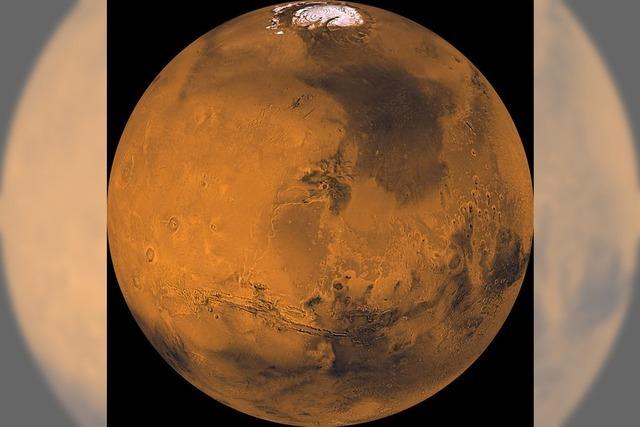 Niederlndisches Unternehmen sucht Freiwillige fr ein Reise zum Mars - ohne Rckfahrkarte