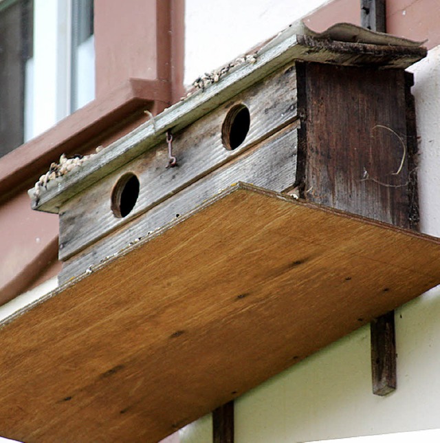 Mauerseglerheim am Feuerwehrgertehaus   | Foto: Gert Brichta