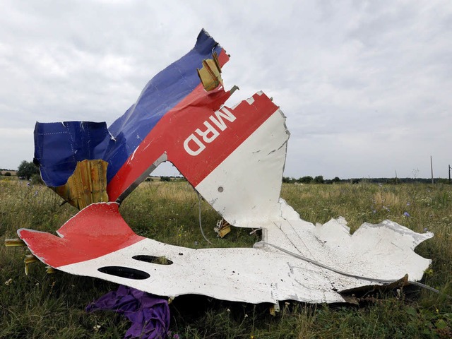 Trmmerstcke der malaysischen Passagiermaschine im Osten der Ukraine.  | Foto: AFP