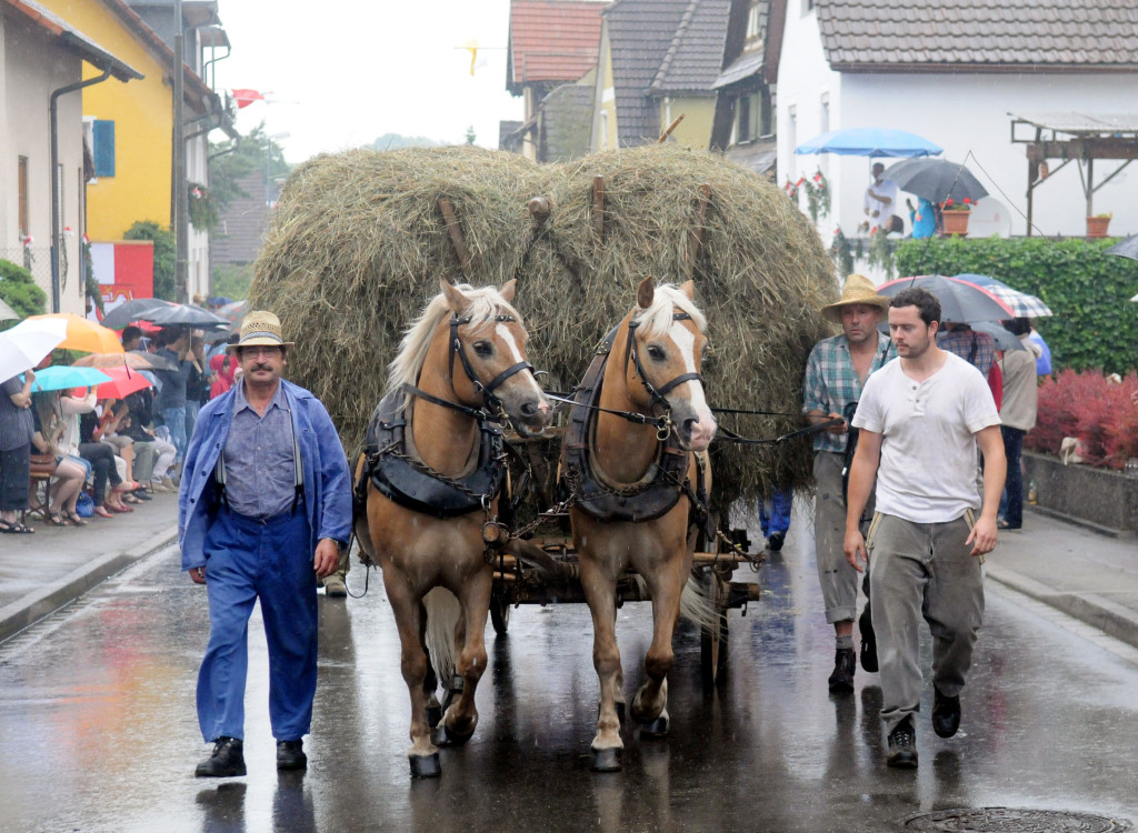 Mehr als 60 Gruppen zogen beim Festumzug mitten durch Oberweier.