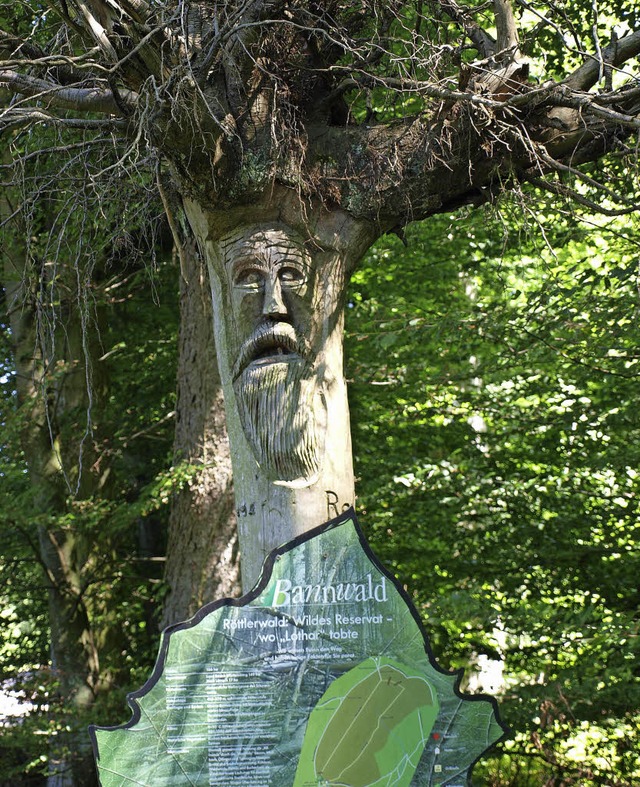 Beim Eingang zum Bannwald gren Walds...inger Holzknstlers Rudolf Schpflin.   | Foto: Paul Schleer