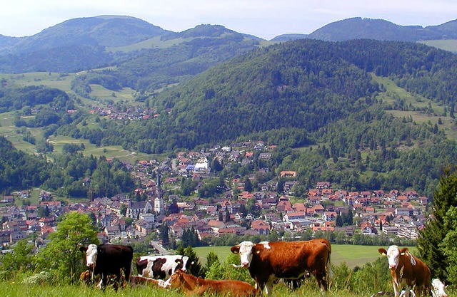 Wanderwege ohne Ende: Blick ber Schnau auf den Belchen    | Foto: fotos: Belchenland /sattelberger