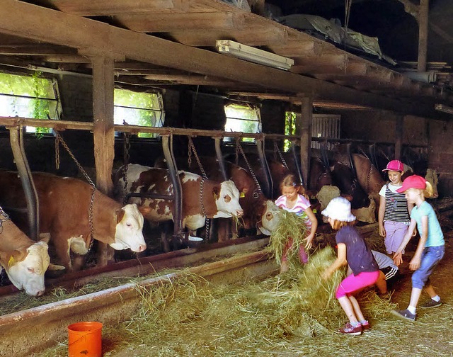 Grundschler  auf dem Bauerhof: Einmal...machte den Hllsteiner Kindern  Spa.   | Foto: Vera Winter