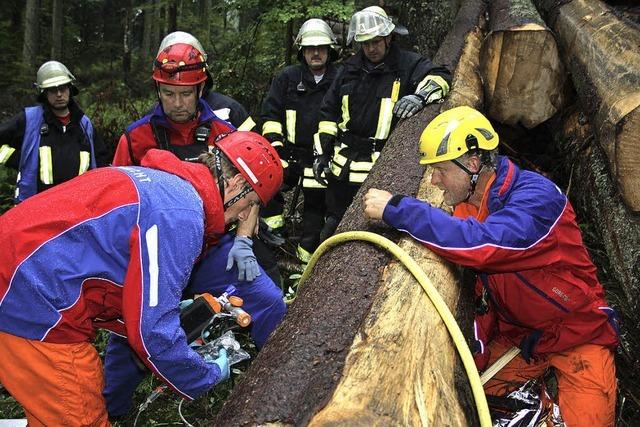 Bergwacht und Feuerwehr arbeiten gut zusammen