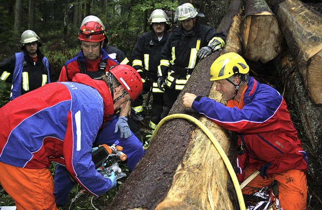 Die Todtmooser Rettungskrfte von Berg... ihrer gemeinsamen bung Hand in Hand.  | Foto: Andreas bhm