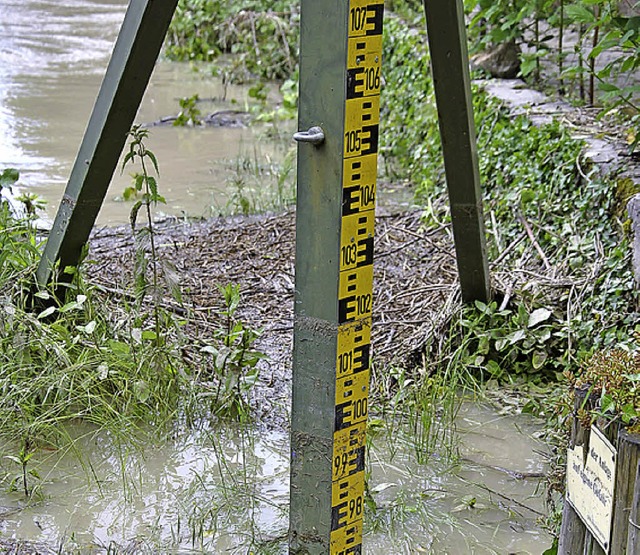 Zeigt  Wasserstand: der Rhein-Pegel bei Hauenstein  | Foto: archivfoto: fautz