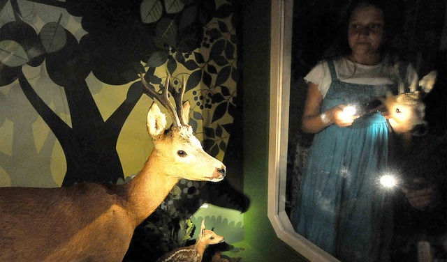 Licht an! Taschenlampenwanderung durchs Museum  | Foto: Rita eggstein