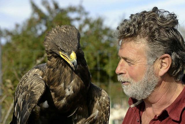 Franz Ruchlak prsentiert in Neuried-Dundenheim Adler, Falken und Bussarde