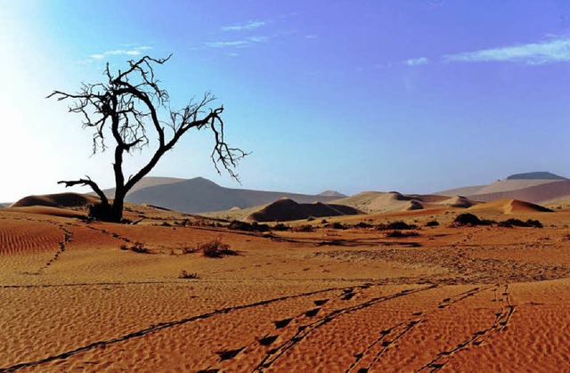 Eindrcke aus Namibia  | Foto: Privat