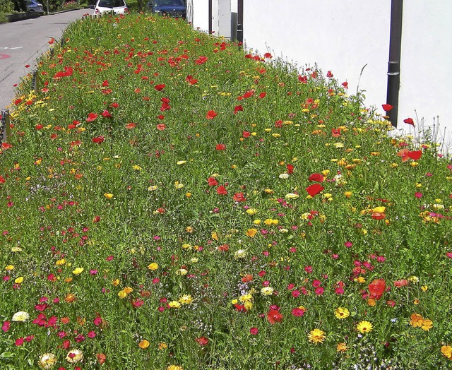   | Foto: Mitarbeiter Rheinred