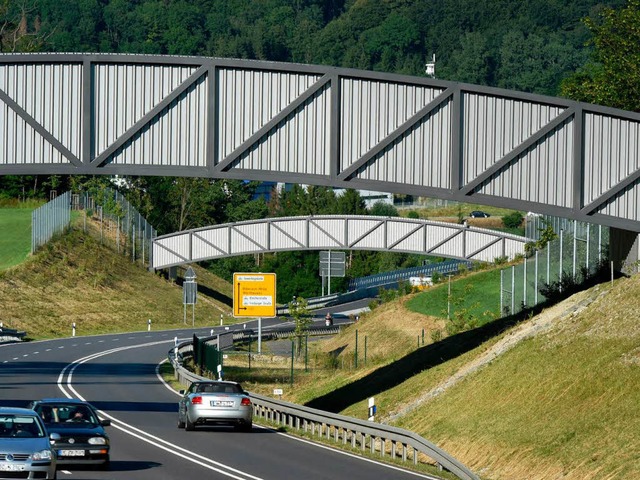 Fledermausbrcken bei Biberach &#8211; der Kreis ist zufrieden.   | Foto: dpa