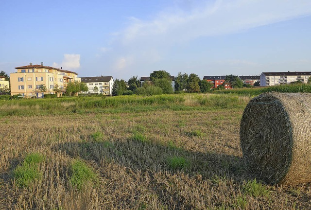 Noch landwirtschaftlich genutzt, bald ...ten in Geschosswohnungsbau entstehen.   | Foto: Gerhard Walser