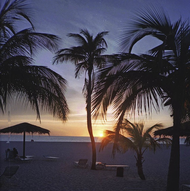 Traumhaft: Palmenstrand in der Karibik   | Foto: Vera Siebnich(2)/dpa
