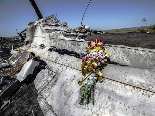Blumen liegen auf den Wrackteilen von Flug MH17 im Osten der Ukraine.  | Foto: AFP