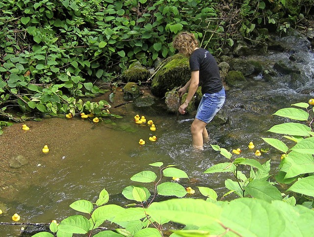 Fr  die  Helfer  war  es  eine  nasse...nden  den  Weg  ins  Naturschwimmbad.   | Foto: ingeborg grziwa