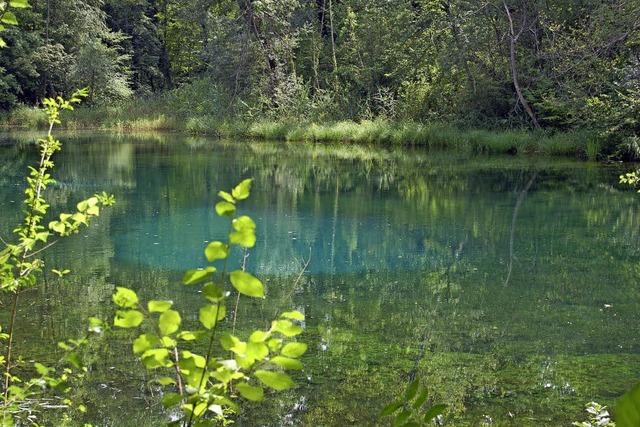 Erhalt von Fauna und Flora