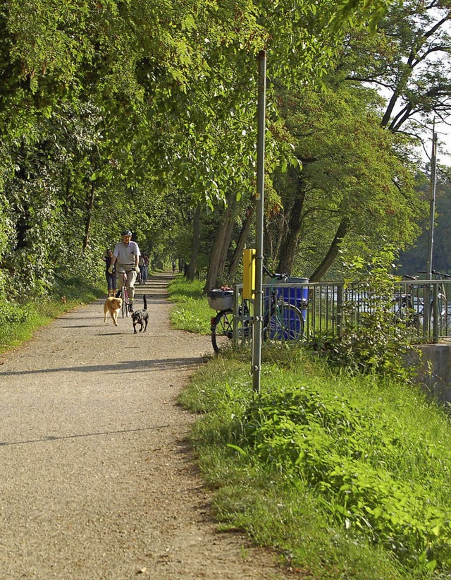 Landschaftspark Wiese   | Foto: jof