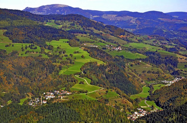 Die Pflege des typischen Landschaftsbi... auch Ziel in einem Biosphrengebiet.   | Foto: Ganter