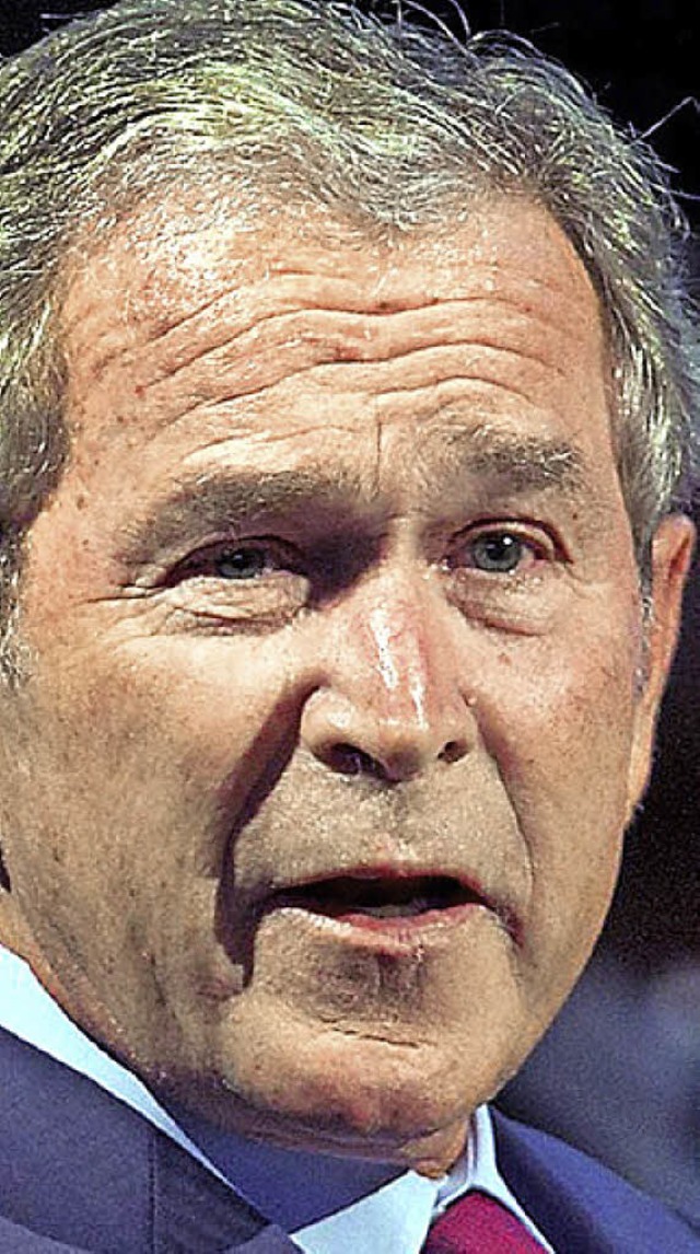 Bush  | Foto: dpa