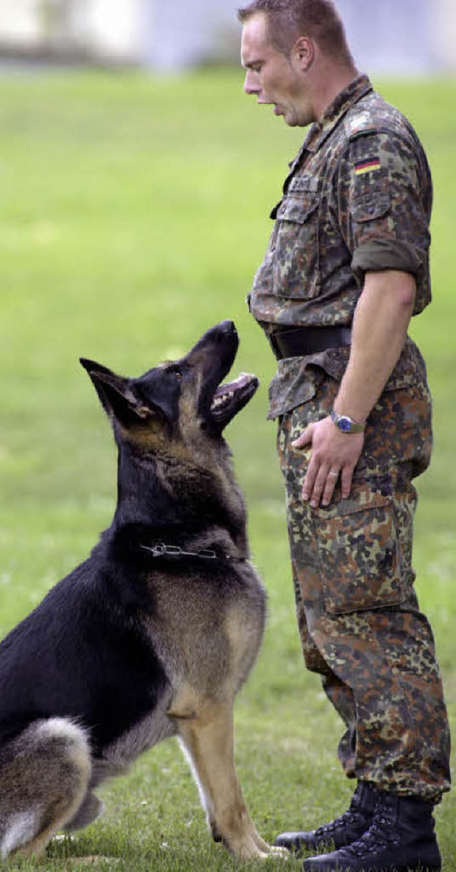 Nicht nur bei der Bundeswehr gilt: Wer...ildet, muss sich mit ihnen auskennen.   | Foto: dpa