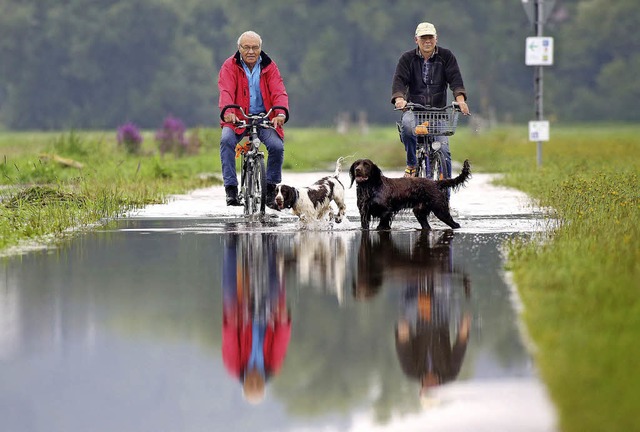 berschwemmte Radwege wie hier im Dona...loseren Folgen des regenreichen Julis.  | Foto: dpa