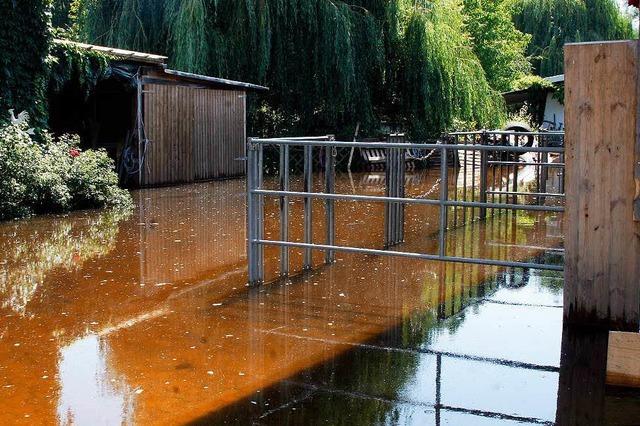 Fotos: Dorotheenhof bei Allmannsweier berschwemmt
