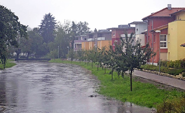 Land unter in Ettenheim  | Foto: FI