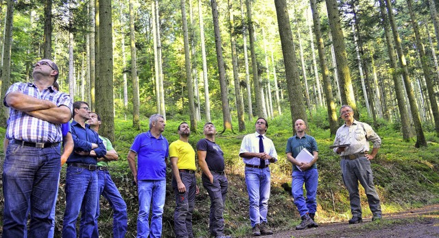 Waldbegehung GR Schuttertal  | Foto: Beate Zehnle-Lehmann