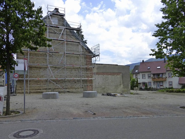 Faller-Areal in Elzach: Bringt es eine...tadtgarten, Freizeitanlage, Mhle...?   | Foto: Gutjahr