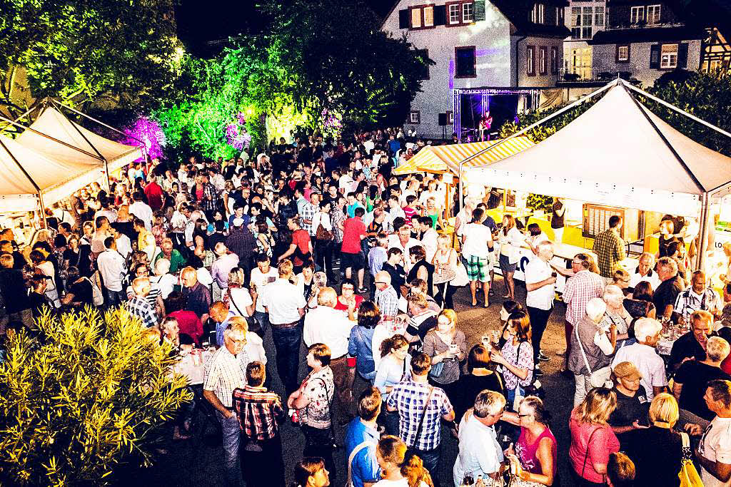 Partylaune bei der Weinparty im Rohanhof.<?ZP?>
