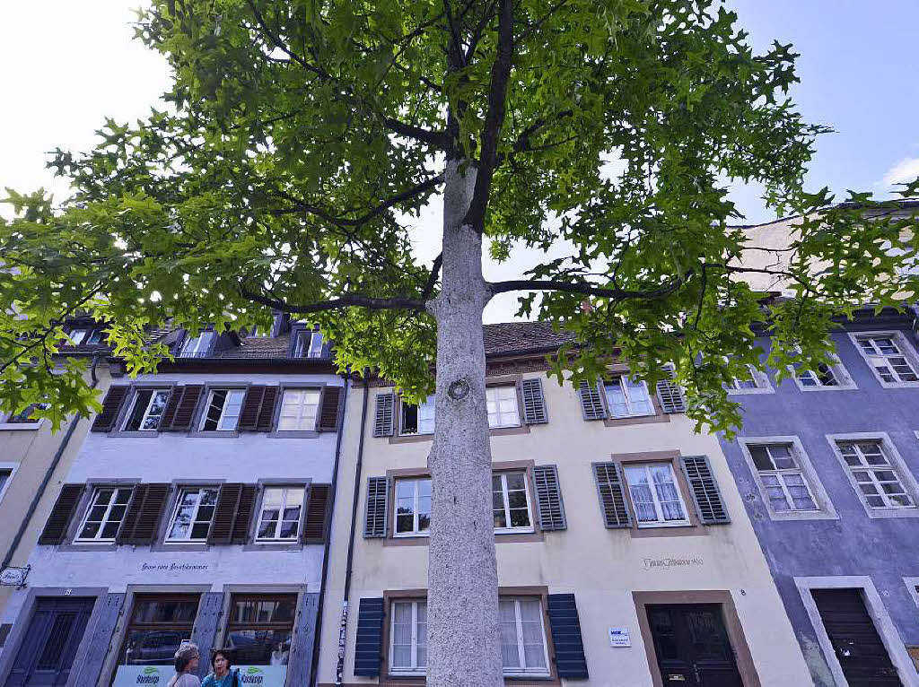 Impressionen der historischen Stadtfhrung.