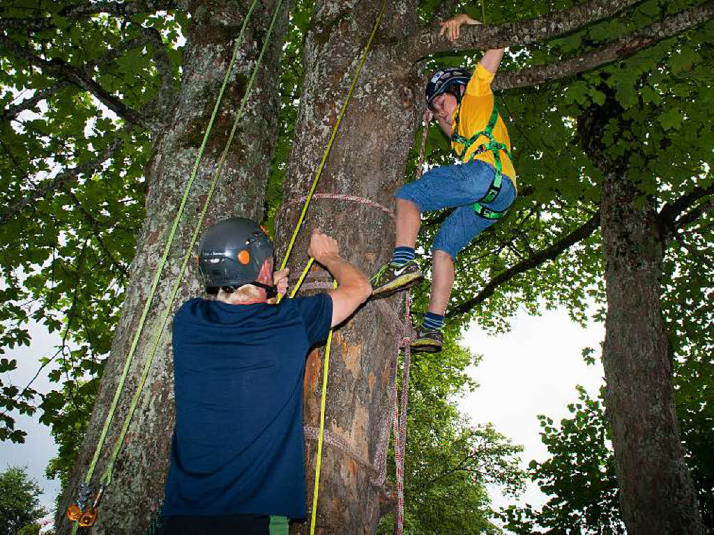 <Text>Sonntag, 27. Juli: Wie angekndigt kam am frhen Nachmittag Baumpflegespezialist Pilipp Utiger, um den Kindern zu ermglichen, auf Bume zu klettern.</Text>