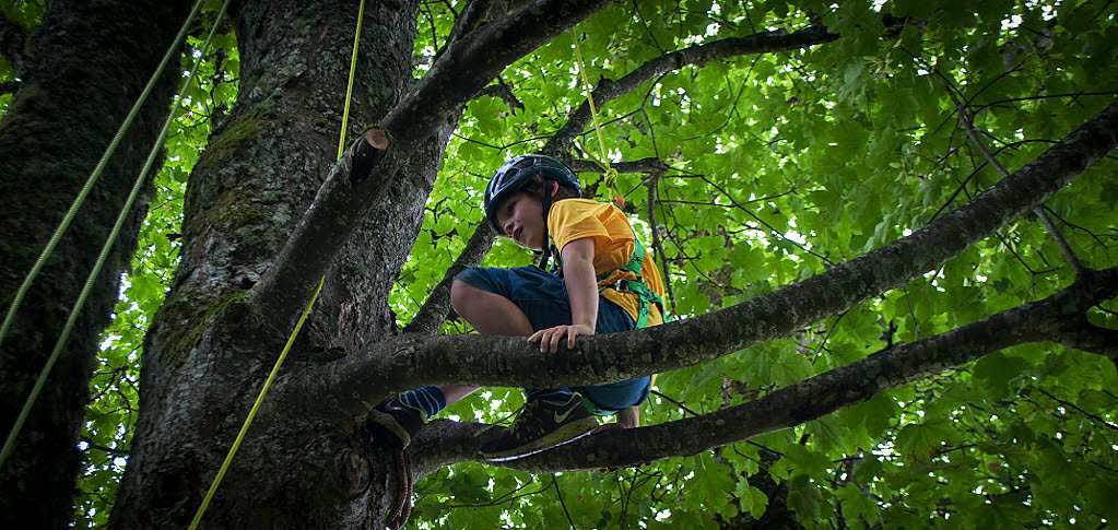 <Text>Sonntag, 27. Juli: Wie angekndigt kam am frhen Nachmittag Baumpflegespezialist Pilipp Utiger, um den Kindern zu ermglichen, auf Bume zu klettern.</Text>