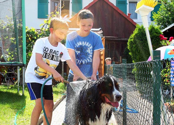 ens Langetepe: Hunde-Waschanlage fr Sam  Tim (links) und Lukas bei der Hundewsche von Sam im Garten. P.S.: Katzenwsche ist fr Miezekatzen. Hier geht`s richtig zur Sache.