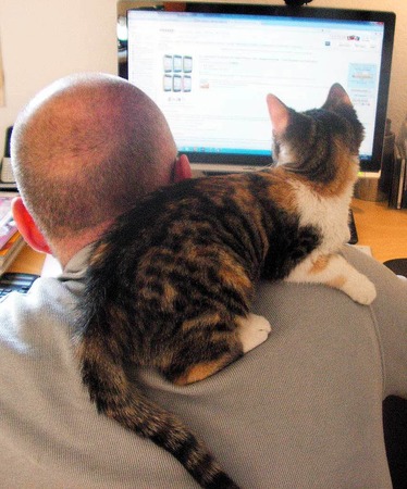 Inge Wenk: KKKheute - Katze kann Computer