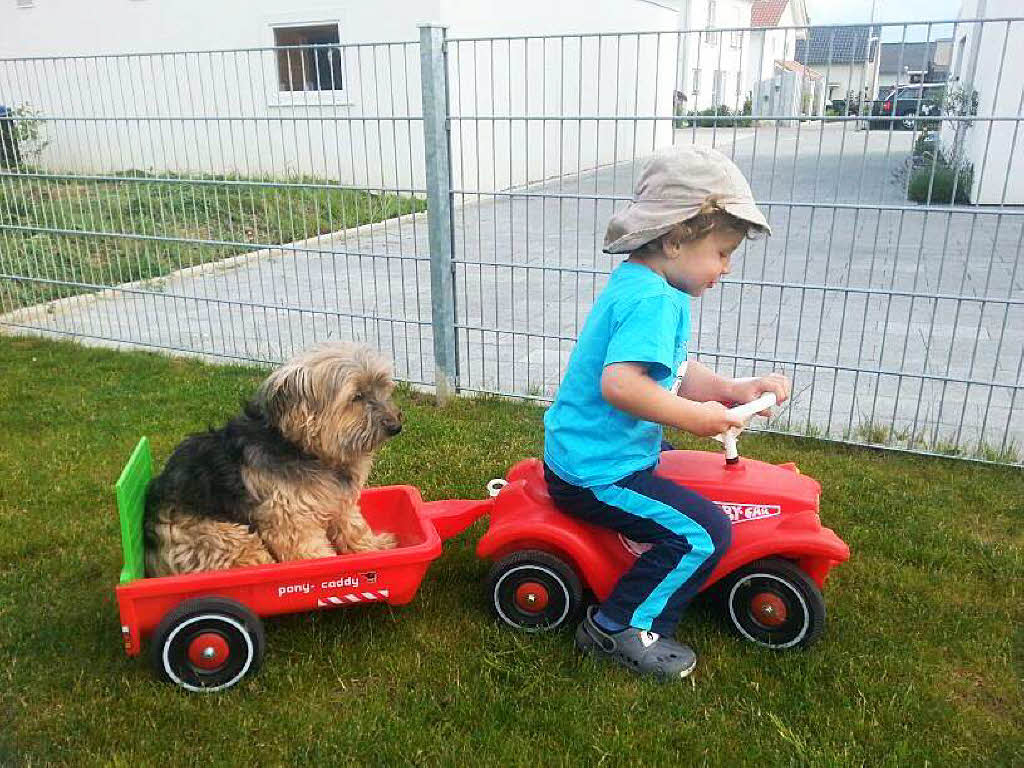 Laura Lehmann: Bobby-Car-Fahrt mit meinem kleinen Cousin Philipp und meinem Hund Sammy.