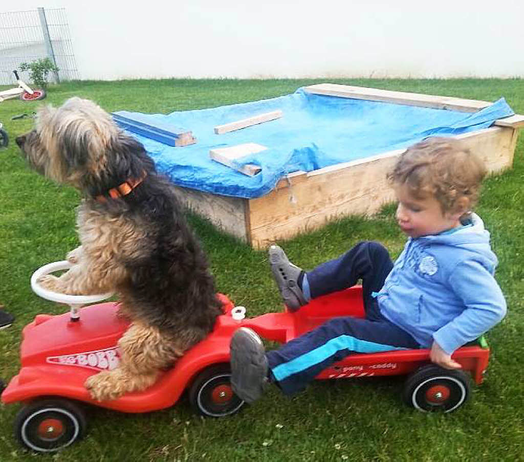 Laura Lehmann: Bobby-Car-Fahrt mit meinem kleinen Cousin Philipp und meinem Hund Sammy.