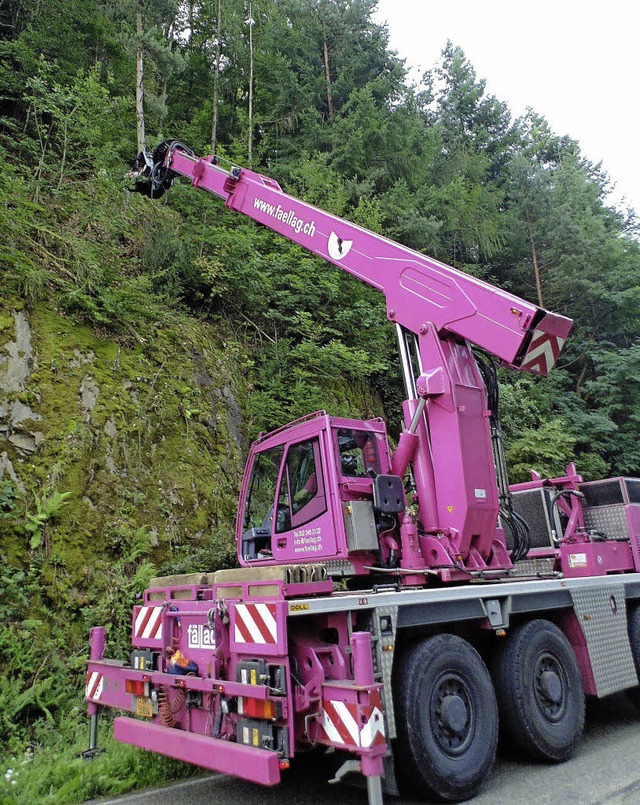 Hoch hinaus: Um Bume im Hang fllen z...kommt ein Spezialfahrzeug zum Einsatz.  | Foto: Michael Gottstein