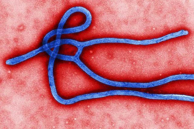 Warum die Angst vor Ebola in Deutschland unbegründet ist