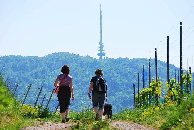 Viele Gste kommen zum Wandern an den ...zahlen jedoch relativ deutlich zurck.  | Foto: Benjamin Bohn