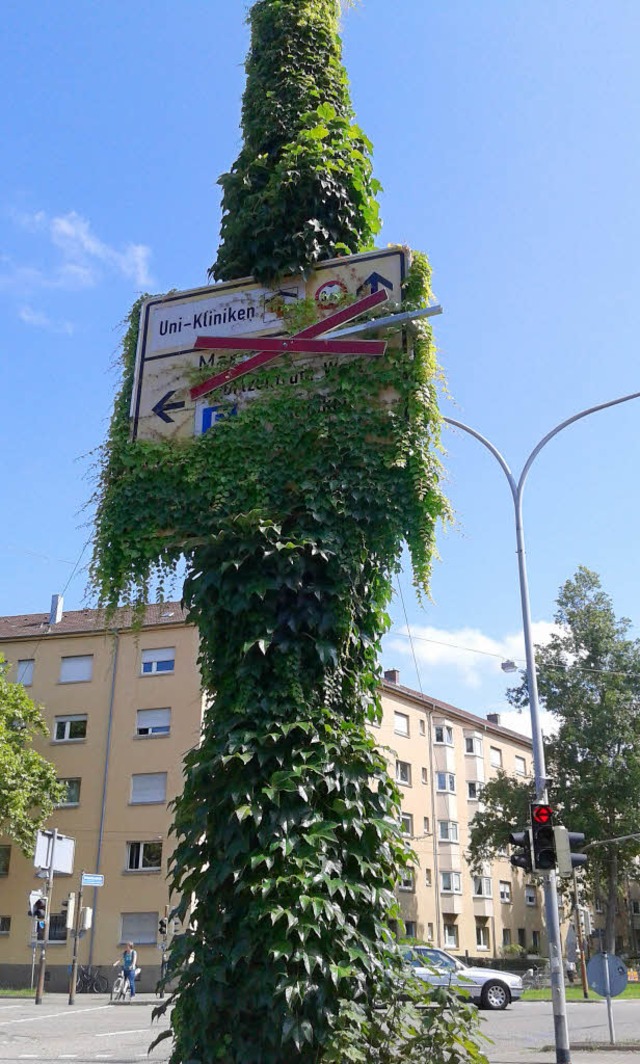 Wo bitte geht&#8217;s zur Uni-Klinik?   | Foto: Elke Lach-Hause