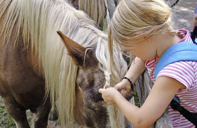 Pferde waren die groe Attraktion fr ...er Kinder beim Besuch des Mundenhofs.   | Foto: Karin Wortelkamp