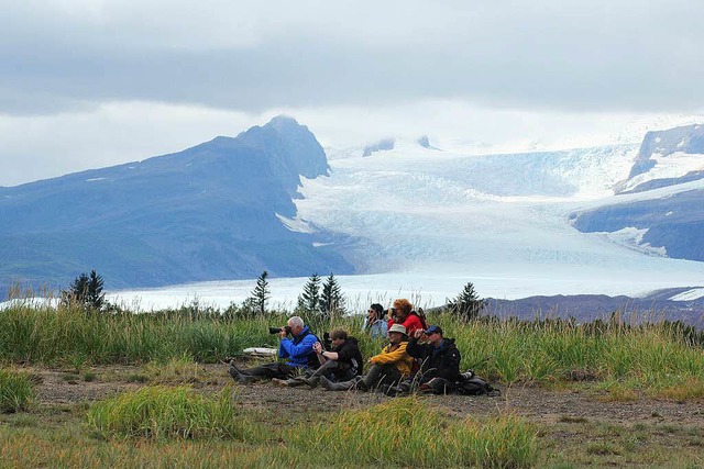 Gefhrte Brentouren gehren in Alaska...eliebtesten touristischen Aktivitten.  | Foto: dpa-tmn