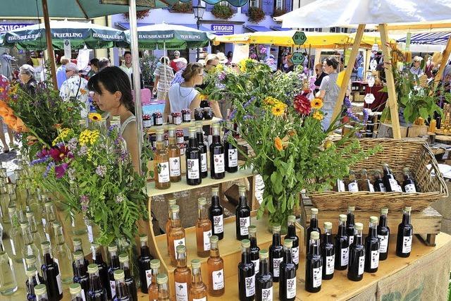 „Schwarzwald trifft Kaiserstuhl“ auf dem Augustinerplatz